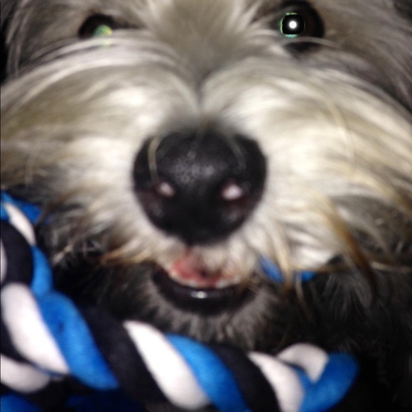 Meet Your Posher, Chris. ❣️❣️POSH AMBASSADOR ❣️❣️ - Picture 4 of 8